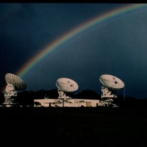 Meet your Posher, Steve